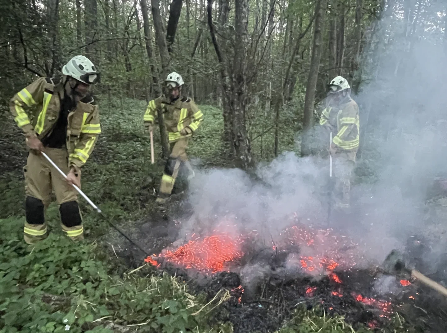 Waldbrand Einsatzgruppe